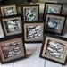 Photo of group of framed small drawings of rocks
