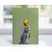 A birthday card for friends or family featuring original photography of a prothonotary warbler offered exclusively at Cove Creek Photography