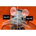 A gray rat doll is facing the camera. The eye on the left side of the SCREEN, the rat's right eye, is labeled eye number 1. The eye on the right side of the SCREEN, the rat's left eye, is labeled eye number 2.