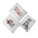 Selection of cute kitten watercolor fine art prints by in an 8x10 inch size with a neutral off-white background.  Select one. Unframed.
