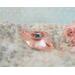 Copper Shawl scarf ear warmer brooch pin with torch fired enamel four-hole button in center.