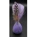 Violet Cat Toys w/ Feathers