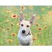 White schnauzer in a field of red and yellow flowers sample pet portrait image.