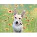 White schnauzer in a field of flowers sample dog portrait image.