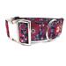 wide buckle dog collar or wide martingale dog collar for large dog