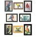 Birds collection paintings