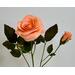 Garden rose, pink-apricot color, handcrafted crepe paper. 2 stems include an open flower, buds, foliage. Realistic, easy care, Allergy free.