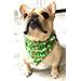 Beer Dog Bandana St Patrick’s Day Pet Scarf Funny Puppy Neckwear Best Dog Gift Drinking Buddy Apparel Alcohol Themed Pet Outfit Idea