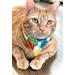 Cat Bandana Festive Kitten Neckwear Custom Pet Accessory Animal Lover Gift Trendy Fashion For Cats Stylish Kitty Clothing Trend Ideas Personalized