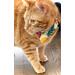 Cat Bandana Festive Kitten Neckwear Custom Pet Accessory Animal Lover Gift Trendy Fashion For Cats Stylish Kitty Clothing Trend Ideas Personalized