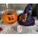 This is a Halloween witch. It is made from a real dried gourd. The witch hat sits next to the pumpkin gourd. The inside is unfinished. 