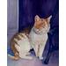 Cat portrait in watercolor