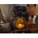 This is a Halloween pumpkin gourd. It's ghostly face is lit with a battery-operated candle.