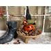 This image shows a fall table Halloween display. It is a pumpkin witch sitting in a wooden bowl surrounded by botanical bowl fillers. 