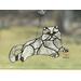 Persian Cat in Gray