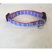 Purple plaid dog collar