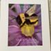 Bumblebee on a Flower, Matted
Medium: Digitally Hand Painted
Substrate: Professional Matte Paper
Print & Mat Only, Frame Not Included 
