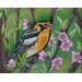 Blackburnian Warbler Bird Painting.