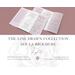 screen shot line drawn brochure template