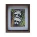 Raccoons Painting