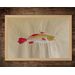 fishing gift, gift for dad, gift for grandpa, dad birthday, fathers day, panama fishing, fishing t-shirt, fishing clothing, warren sellers