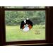 Tricolor in 20 inch by 26 inch window for size reference