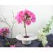 photo of kiln-fired copper enamel ikebana-style vase with hand painted hibiscus on top with is 4 inches in diameter. Enamel colors of hibiscus are pale pink and lavender, with pale green leaves. Vase stands 1-1/4 inch tall. There is a pin-frog inside to hold flowers upright.