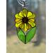 Sunflower in direct sunlight. Transparent petals.