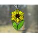Sunflower in direct sunlight. Transparent petals.