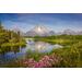 Oxbow Bend in Grand Teton National Park. Mount Moran rising above the snake river, showing a beautiful reflection in the water, with wildflowers in the foreground