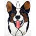 Black and White with Brindle points Cardigan Corgi.