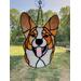 Red and white Cardigan Corgi.