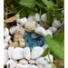 Miniature Fairy Garden Pond, Fairy Pond, Miniature Pond, Fairy Garden Accessory, Miniature Terrarium Pond, Terrarium Pond, Wee Fairy Pond, Terrarium Miniature Pond, Baby Pond for garden, gifts for her, Fairy accessory, Miniature garden pond, wee item