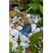 Miniature Fairy Garden Pond, Fairy Pond, Miniature Pond, Fairy Garden Accessory, Miniature Terrarium Pond, Terrarium Pond, Wee Fairy Pond, Terrarium Miniature Pond, Baby Pond for garden, gifts for her, Fairy accessory, Miniature garden pond, wee item