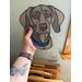 Weimaraner being held for size reference.