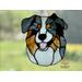Blue merle in direct sunlight.