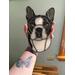 Adult Boston Terrier being held for size reference.
