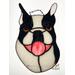 Boston Terrier puppy on light box.