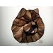 Cinnamon Chow on light box.
