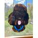 Brown Poodle in direct sunlight.