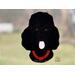 Black Poodle in direct sunlight.