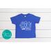 Women's Rights Vote Blue Shirt - Vote Like a Girl Feminist Shirt for Women's Rights