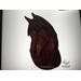 Arabian Horse in Chestnut, shown on a light box- light on.