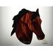 Morgan Horse in Bay, shown on light box- light on.