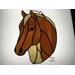 Quarter Horse in Palomino, shown on light box- light on.