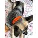 Dog Collar ~ Adjustable 15.5" to 19" Bright Orange Paracord ~ Wide