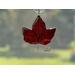 Red Maple Leaf in direct sunlight.
