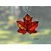 Sugar Maple Leaf in direct sunlight.