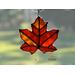 Sugar Maple Leaf in direct sunlight.
