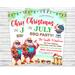 BBQ Pool Party Invite for Christmas in July